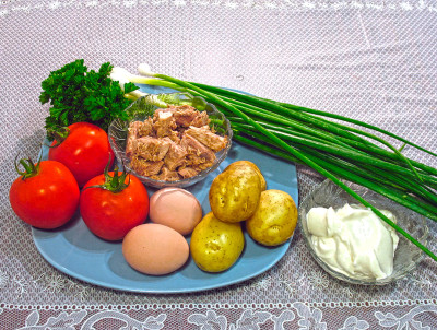 Рецепт салата с тунцом и помидорами — фото продуктов