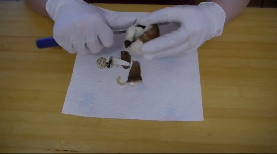 Очистим грибы от кожицы